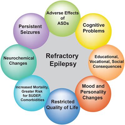 Frontiers | Drug-Resistant Epilepsy: Multiple Hypotheses, Few Answers